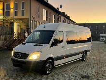 Sprinter 2010