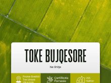 SHITET TOKË – VIJË E DYTË, RRETHRROTULLIMI I TRE URAVE, LUSHNJE