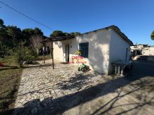 🏡🌲 SHITET NDËRTESË + TRUALL NË PYLLIN E SODËS, VLORË