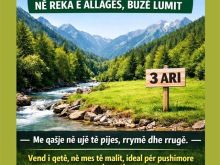 **Shitet truall 3 ari në Reka e Allagës, buzë lumit.