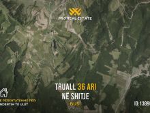 Truall 36 Ari për #SHITJE në Busi