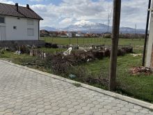 3 ari ne Prizren