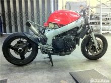 Triumph 955 -01
