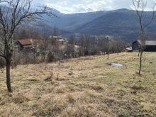 🌄 Parcela në shitje – Sredskë Afer Reqanit(25 ari)