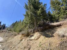 TOKE ne KOSHUTAN - Rugovë 