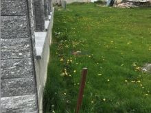 Shitet Trualli  prej 12 ari në Vushtri