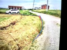 Shitet trualli në Prizren