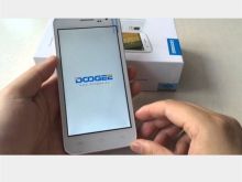 Dogge Dg310