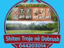 📢 SHITET TRUALL – DOBRUSH, ISTOG📍Lokacioni: Fshati Dobrush