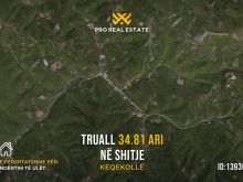 Truall 34.81 Ari për #SHITJE në Keqekollë
