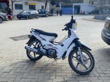 Nipponia 110