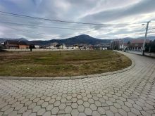 Shitet Trualli ne lagjen Bajram Curr 11 Ari