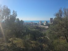 🏝SHITET SUPER TOKE ME PAMJE DETI TEK SHKEMBI SHKËMBI I KAVA