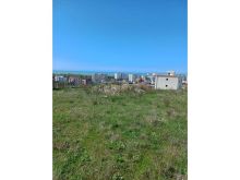 SHESIM TOKE NE ARAPAJ, DURRES