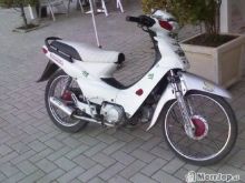 HONDA 97