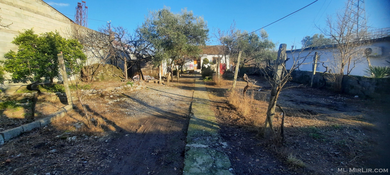 Shitet prona Shkoder - thumbnail 7