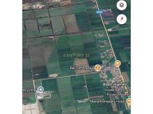 SHITET 6000M2 TOKE NE FLLAKE!