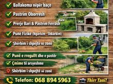 Pastrim bacesh dhe ballakoma