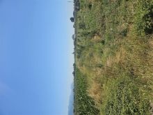 Okazion shitet prona 2171m2 Me çertefikat pronesie