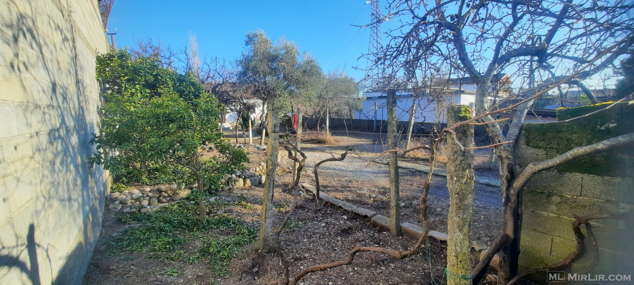 Shitet prona Shkoder - thumbnail 2