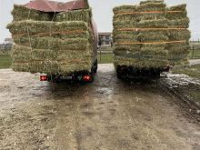 Shiter Sana boim Transport