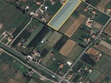 🌿 Shitet tokë në Tale! 4km Larg Detit Vetem 2000 euro per A