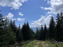 Toka Ne Shitje  Rugovë