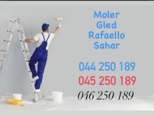 Moler Gled Fasada Ngjyr etj