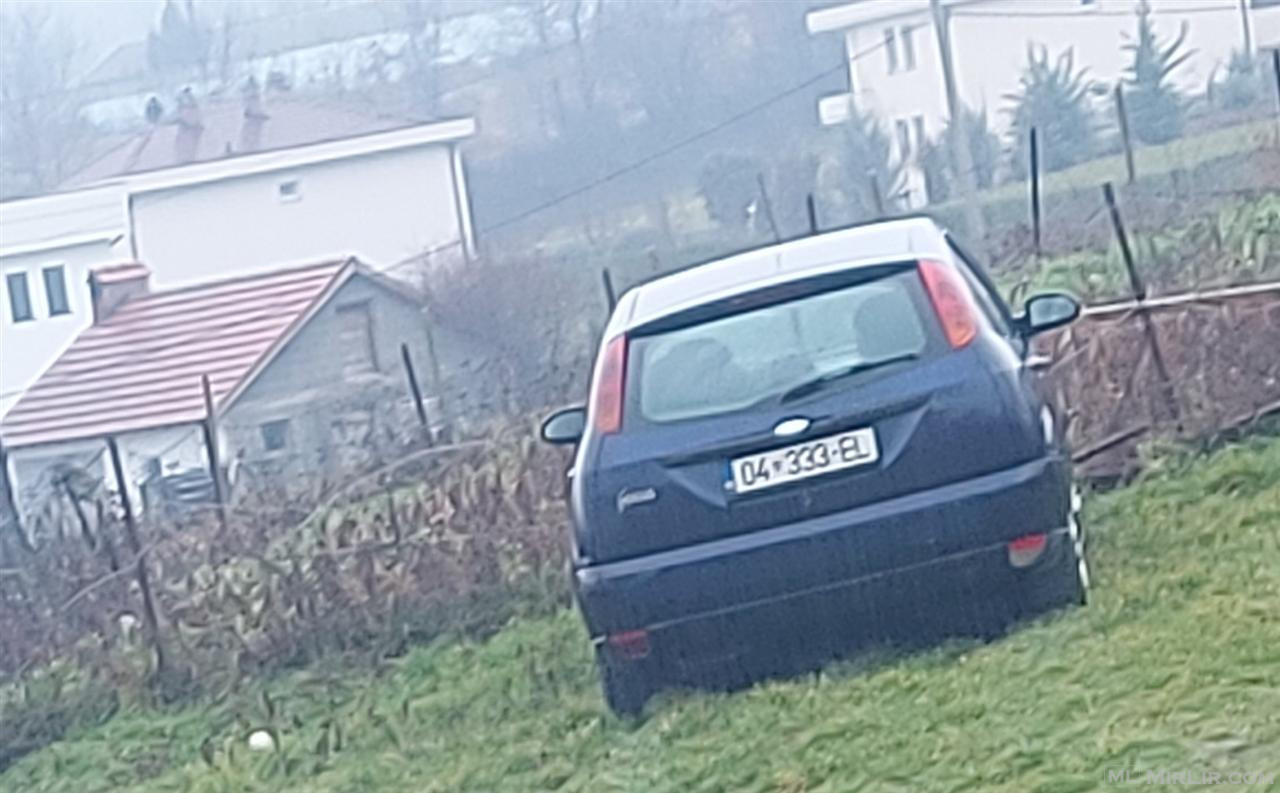Shitet Ford focus