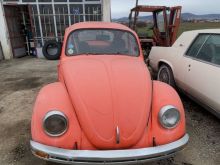 Vw Beetle / Old Timer