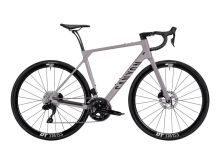 2026 Canyon Endurace CF 7 Di2 LTD Road Bike (PIENARBIKESHOP)