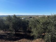 Harizaj,Super toke ne zone kodrinore ,Kavaje