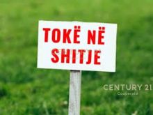 SHESIM TOKE NE DARZEZE