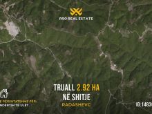 Truall 2.92 Ha për #SHITJE në Radashevc