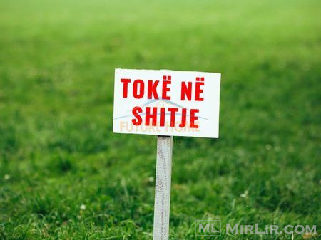 Shitet, Truall, Mjull Bathore, Tiranë.