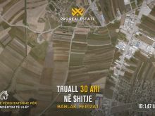 Truall 30 Ari për #SHITJE në Bablak
