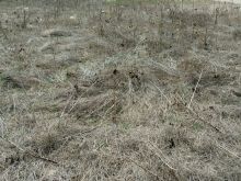 🌿 SHITET TRUALL – 5.7 ARI NË VETERNIK! 🏠