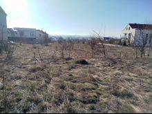 🏡 OFERTA E VEÇANTË – 4 TROJE NGJITUR NË VETERNIK! 🌟