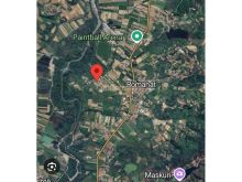 +355682429333 Shitet Tokë – Romanat, Durrës