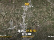 Truall 57.89 Ari për #SHITJE në Llapllasellë