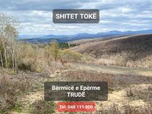 Shitet Toka për Vila të Bërnica e Epërme në Trudë