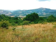 Shiten 8 h e 30 ari tokë në Kllobukar Komuna e Novoberdes
