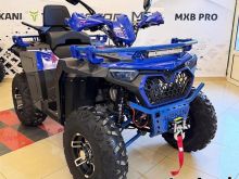 APAKANI 280CC Quad Kuad 4Gomsh