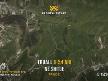 Truall 9.54 Ari për #SHITJE në Trudë