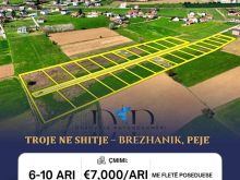 TROJE NË SHITJE – BREZHENIK, PEJË