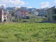 🌿 SHITET TOKË NË SHKALLNUR, DURRËS