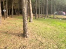 SHITET TOKE VIJE E PARE SPILLE, KAVAJE