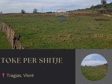 🌿 Tokë Arë për Shitje – Tragjas, Vlorë