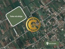 Tokë në shitje në Ishull Shëngjin, Lezhë