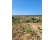 TOKË PËR SHITJE NË GJIRIN E LALZIT 180.000 € | 3000 m²